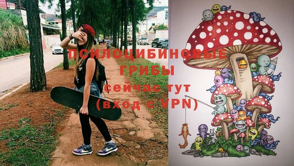 амф Алексеевка