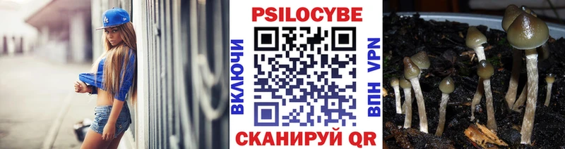 закладки  Костомукша  Галлюциногенные грибы Cubensis 