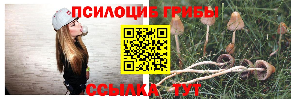 Псилоцибиновые грибы прущие грибы  Вход с VPN  Костомукша 